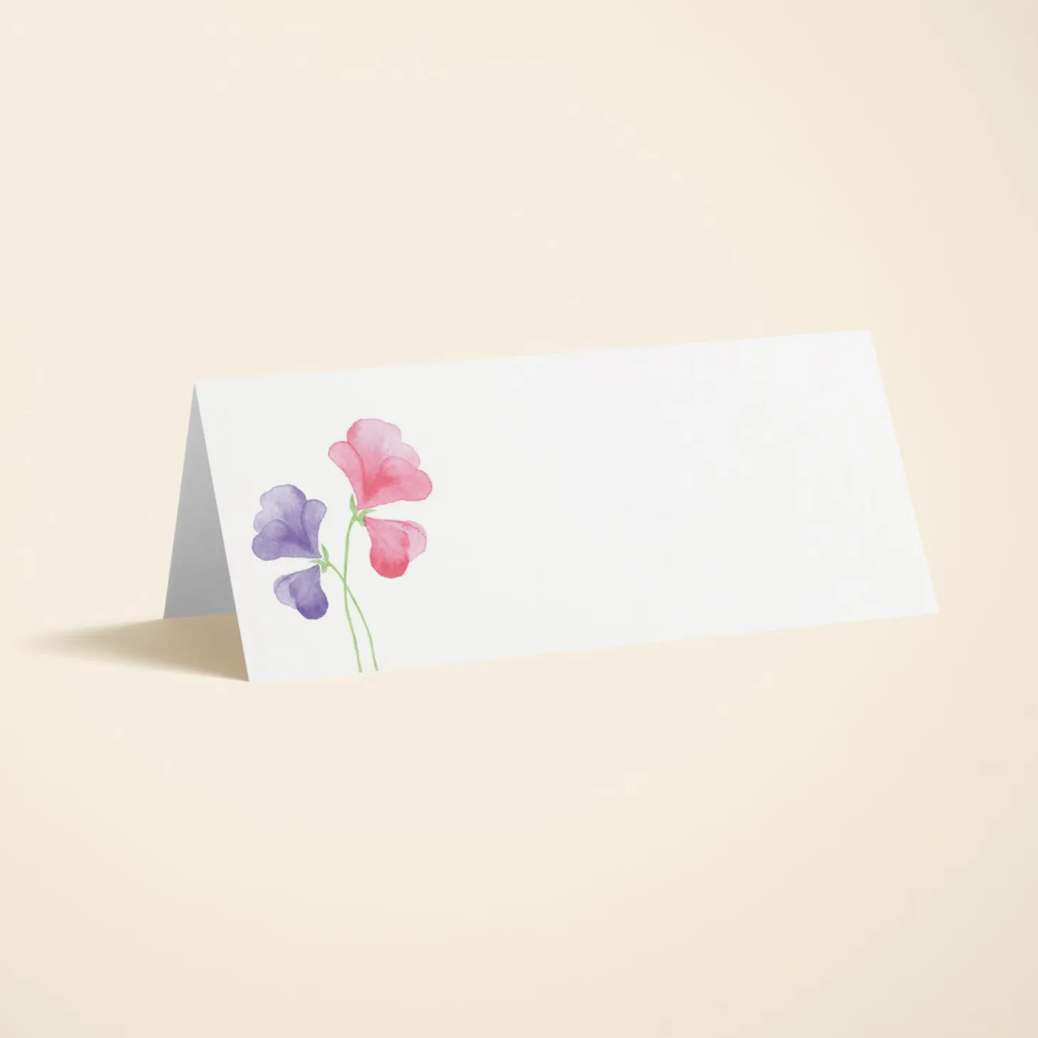 Pink Sweet Peas