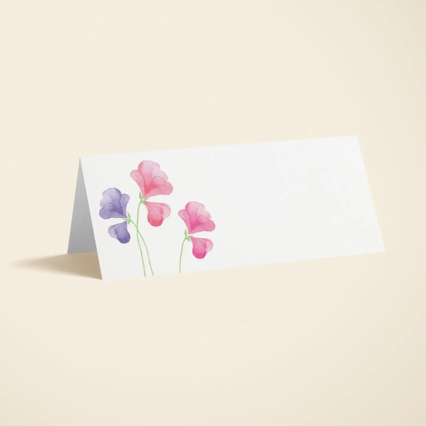 Pink Sweet Peas