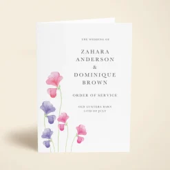 Pink Sweet Peas