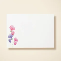 Pink Sweet Peas