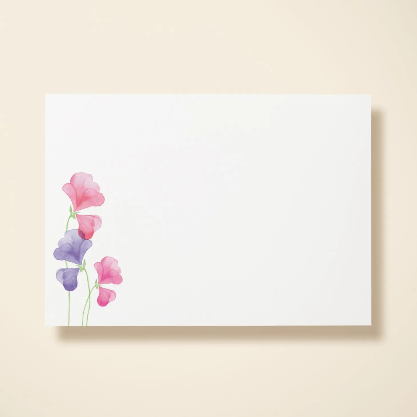 Pink Sweet Peas