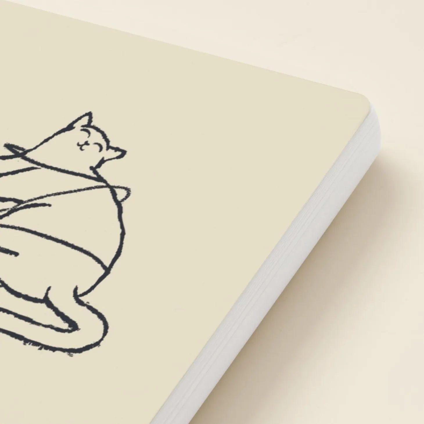 Playful Cats