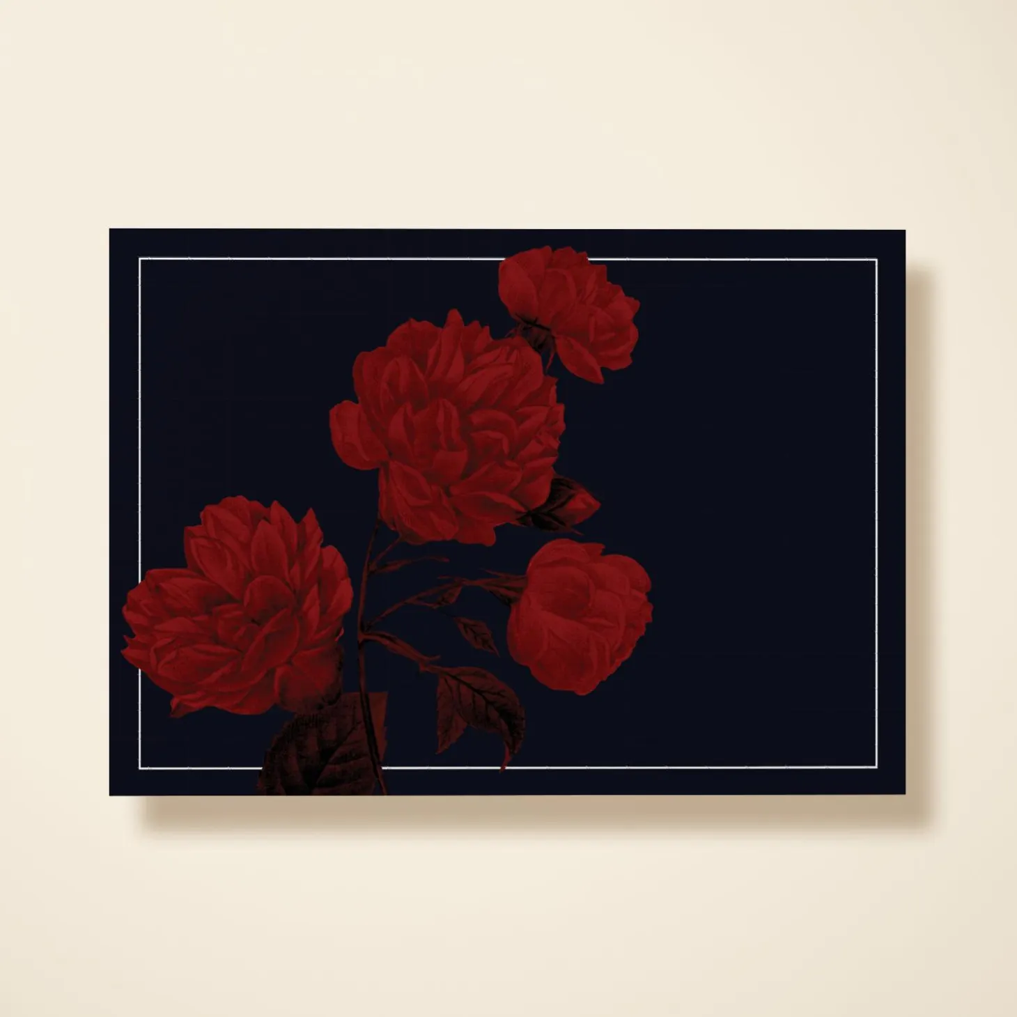 Red Rose