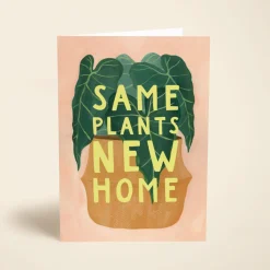 Same Plants