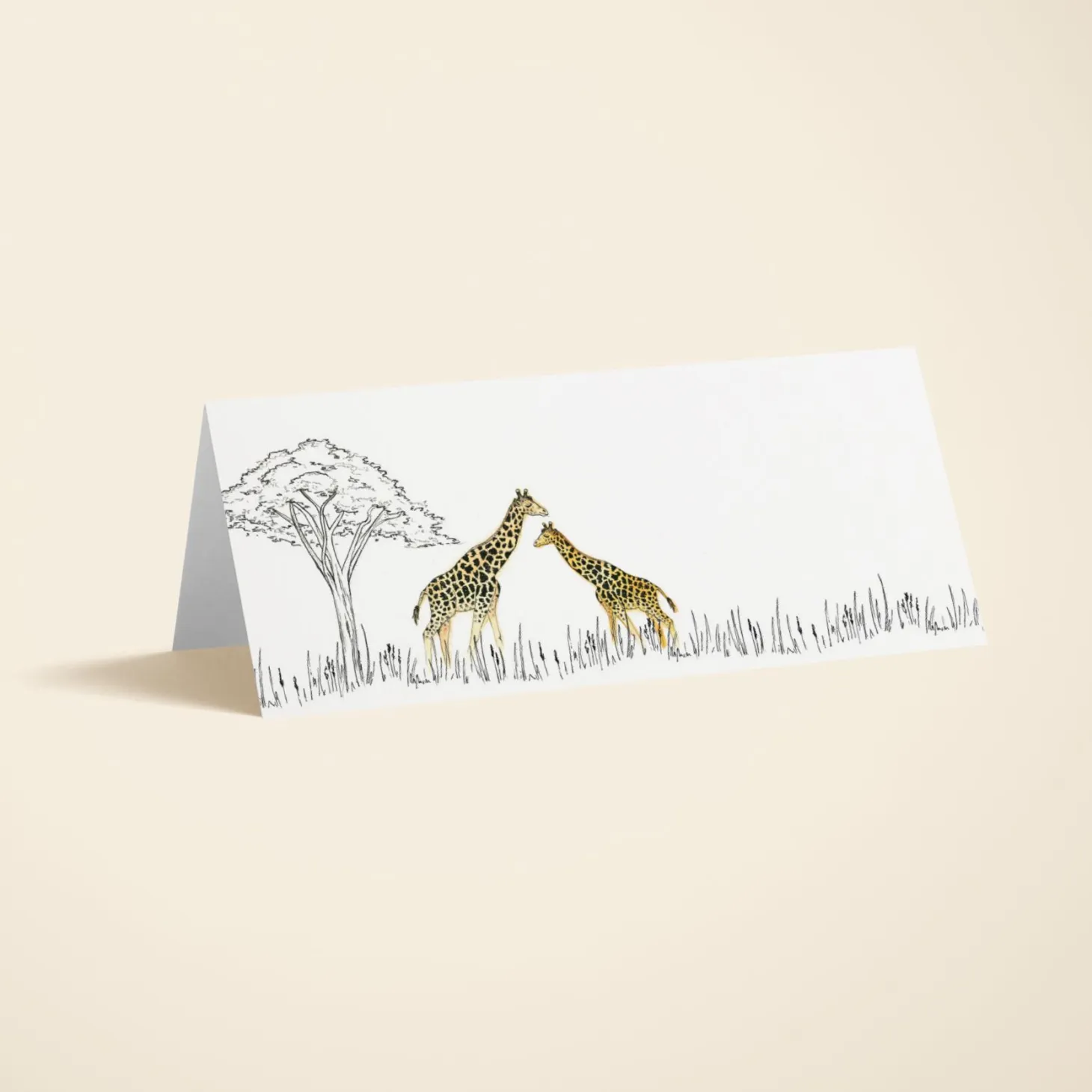 Savanna