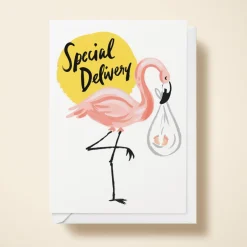 Special Delivery Flamingo