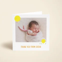 Spring Chick Photo