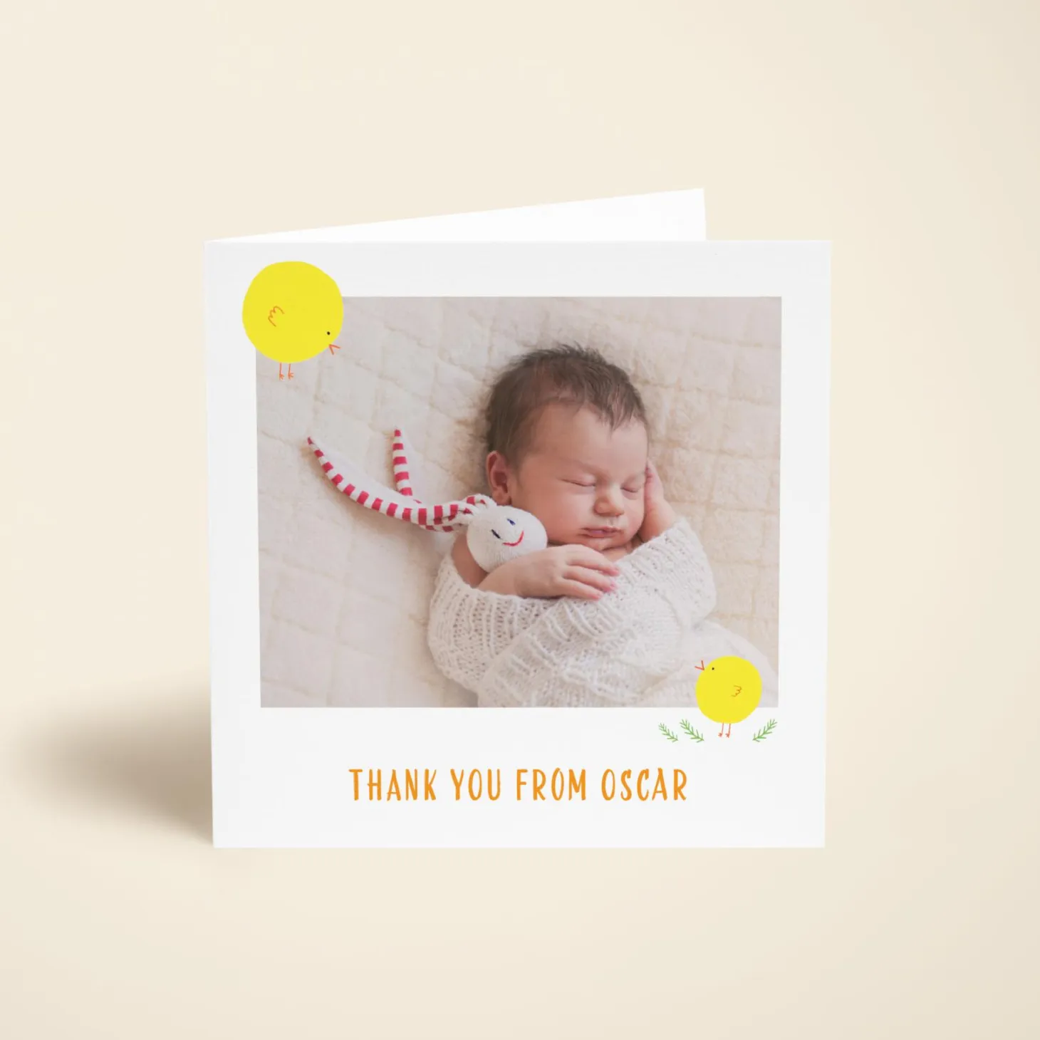 Spring Chick Photo