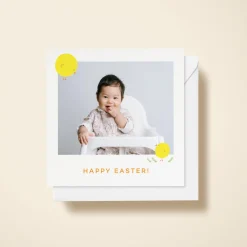 Spring Chick Photo