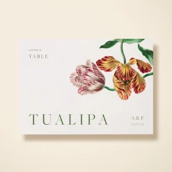Tualipia