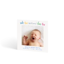 Welcome Baby