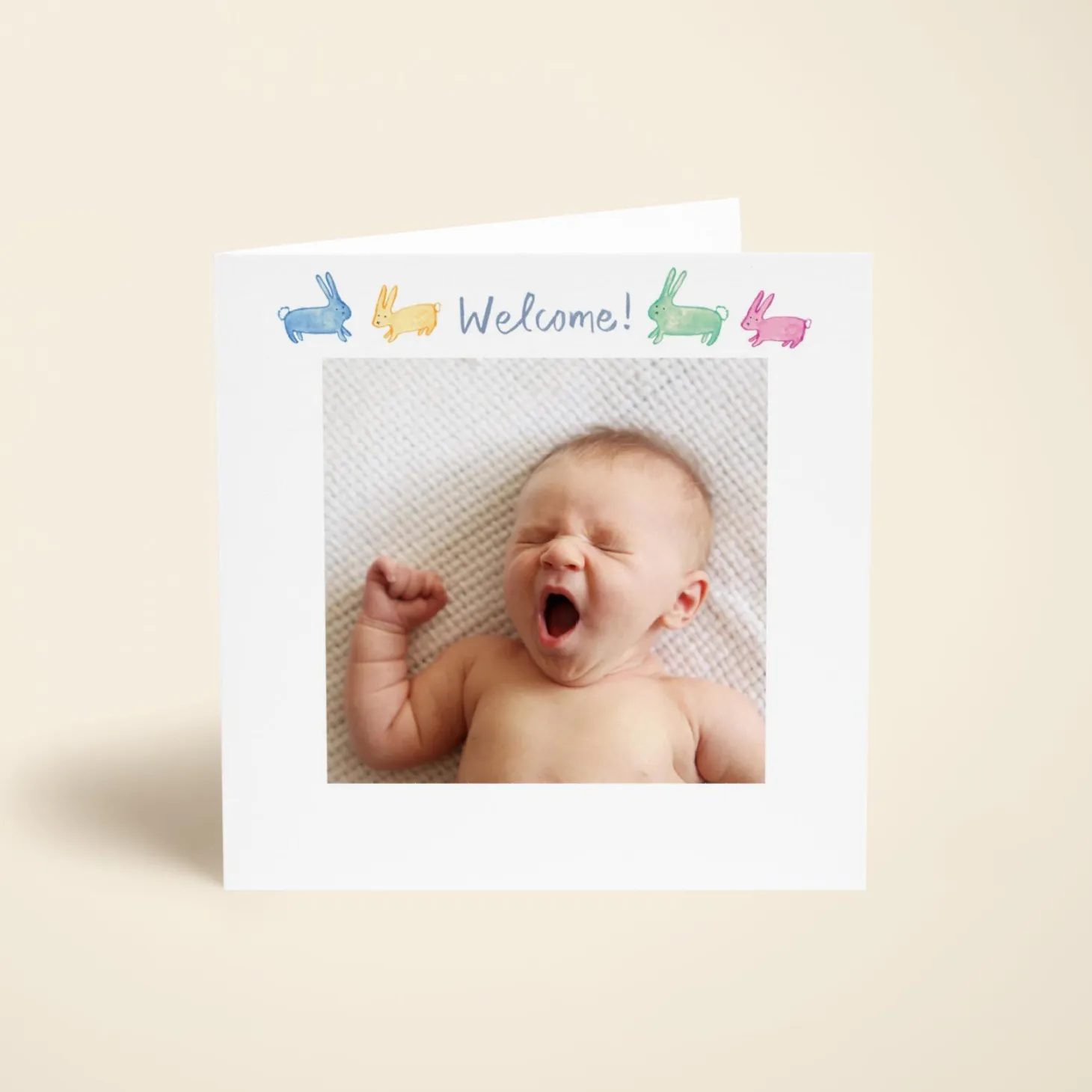 Welcome Bunny Photo