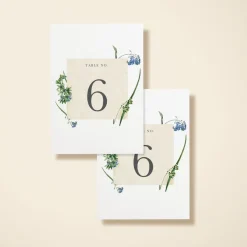 Wildflower Blooms