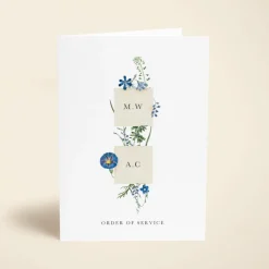 Wildflower Blooms