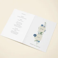 Wildflower Blooms