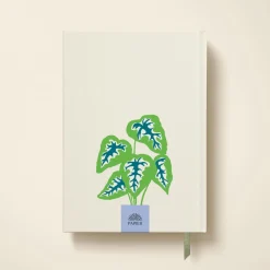 Words on Paper