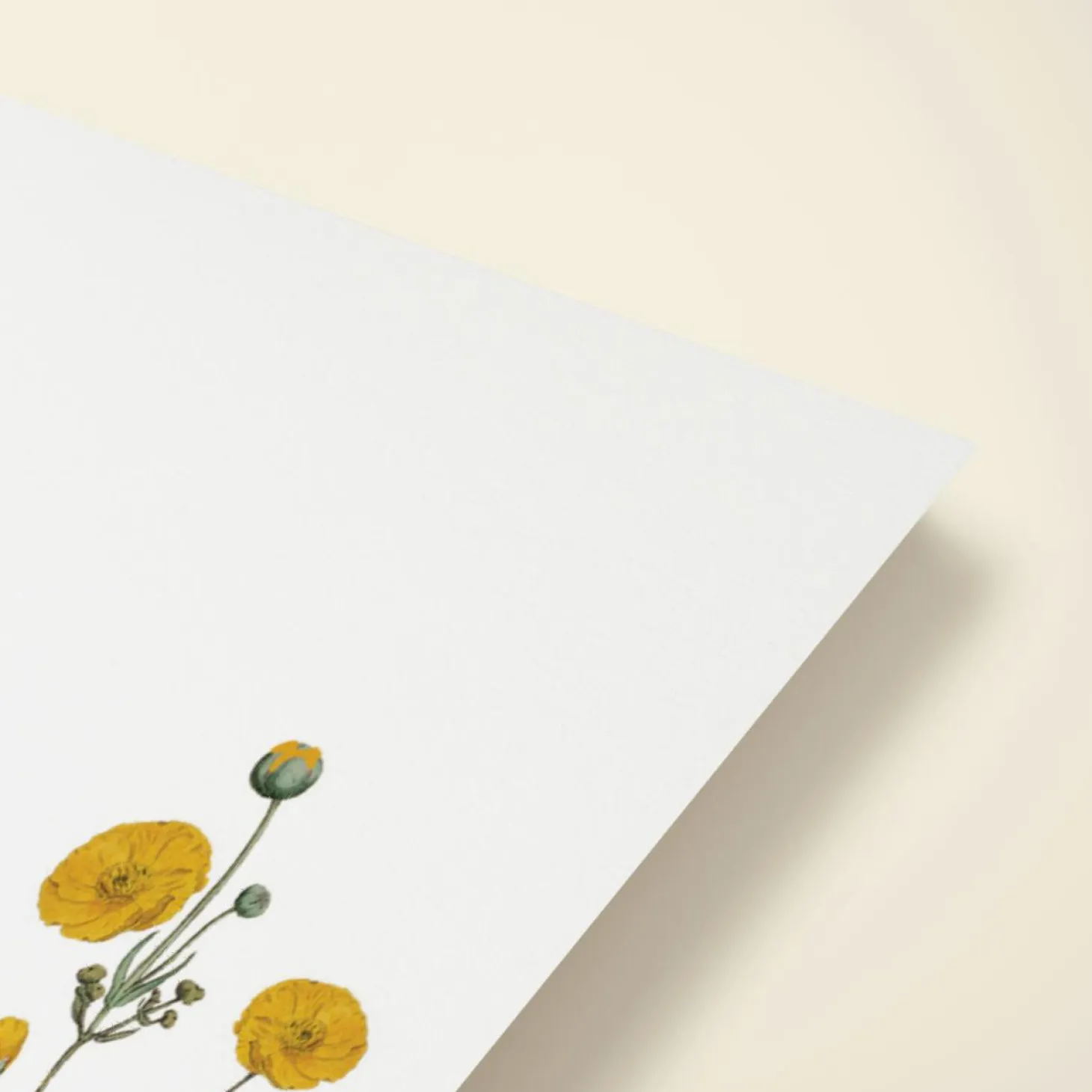 Yellow Buttercups