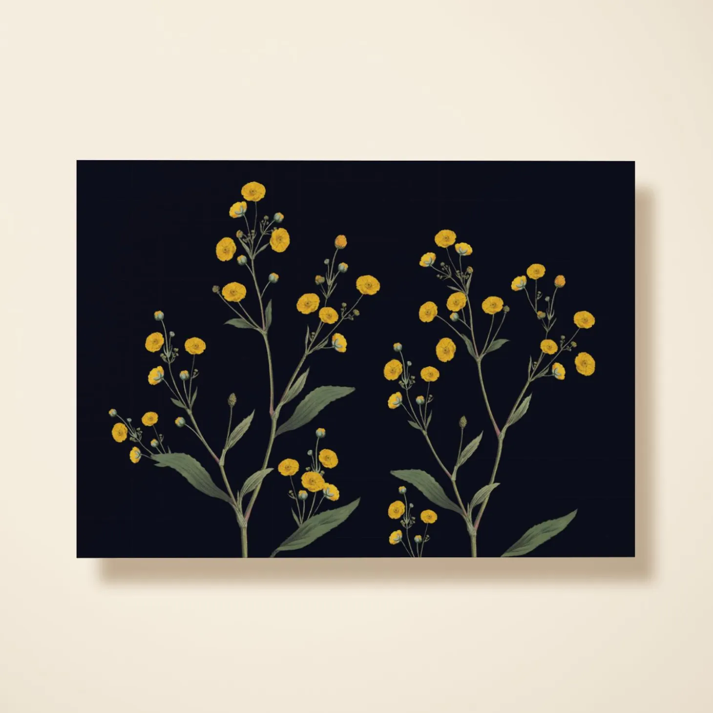 Yellow Buttercups