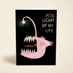 You Light Up My Life