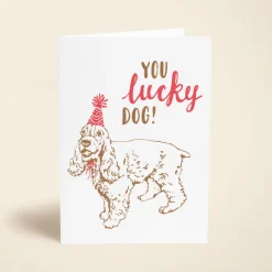 You Lucky Dog
